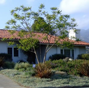 Front Yards